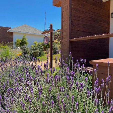 Entrevalle Hotel Boutique Valle de Guadalupe Esterno foto