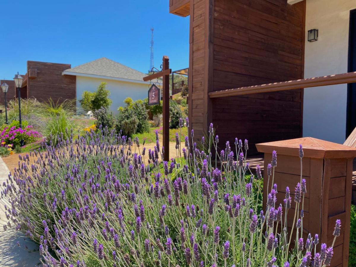 Entrevalle Hotel Boutique Valle de Guadalupe Esterno foto